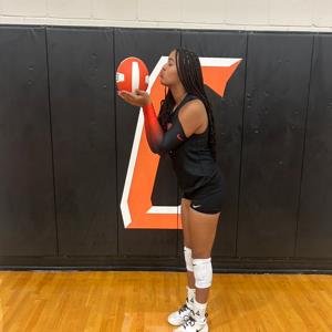 Laurann Burrell mugshot