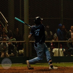 Travis Wade