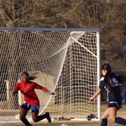 Anisa Mininall-tookes mugshot
