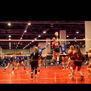 Lela DeCecco mugshot