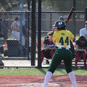 Anna Beth Hamilton mugshot