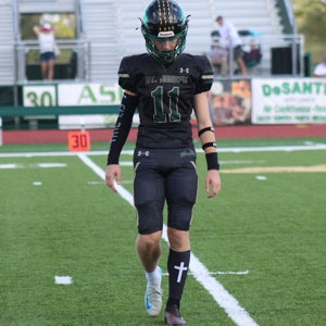 Adrien Hemelt mugshot