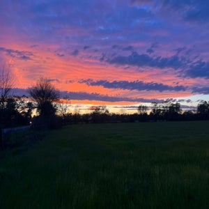 Nevada Knapp mugshot