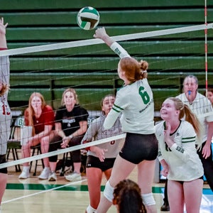 Ellie Watson mugshot