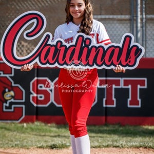 Skylar Mathies mugshot