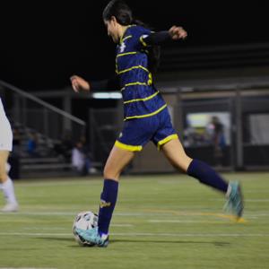 Didya De la Torre mugshot