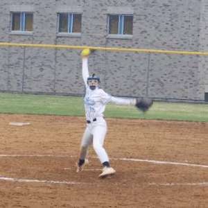 Ericka Hampson mugshot