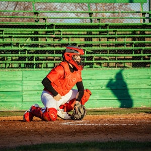 Tyson Brazil mugshot