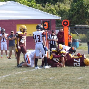 Vince Delvecchio mugshot