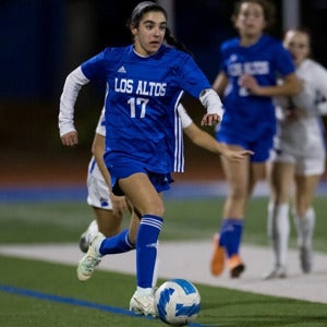 Parisa Abedi mugshot