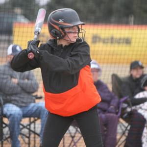 SHELBY DICKSON mugshot