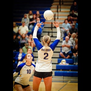 Addison Taylor mugshot