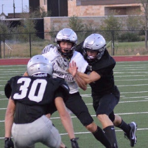 Ashton Meldrum mugshot