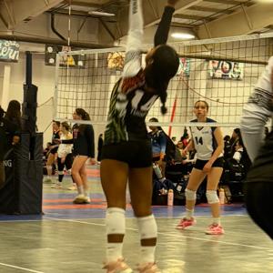 Damaris Turner mugshot