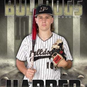 Tripp Harper mugshot