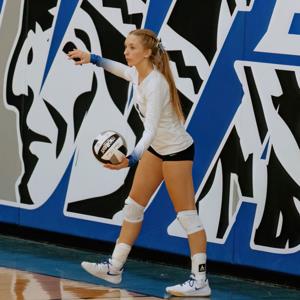 Anna McVicker mugshot