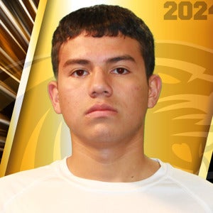 Breayan Cardoso mugshot