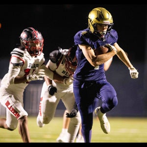 Nathan David mugshot