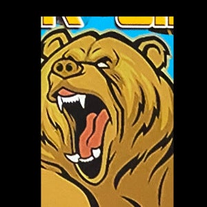 Christian Chappell mugshot