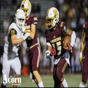 Brice Hawkins mugshot