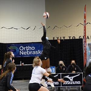 Courtney Williams mugshot