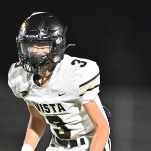 Austin Scheich mugshot