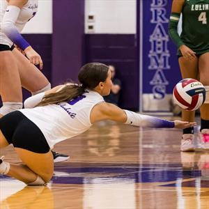 Addison Dougherty mugshot