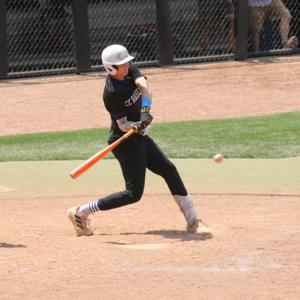 Dominic Ciaburri mugshot