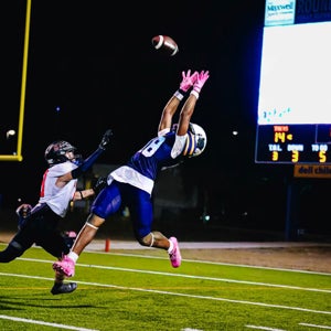 Olamide Aroworade mugshot