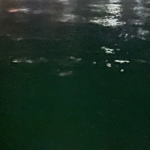 Mohammed Al-azadi mugshot