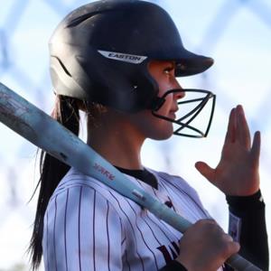 ARIEL PUENTE mugshot