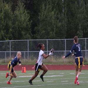 Jamariel Spires mugshot