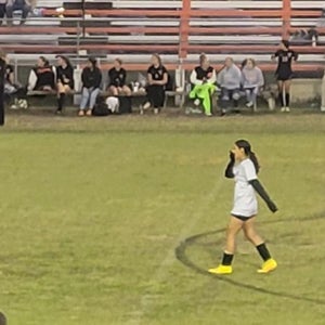 Yarielis Mujica mugshot