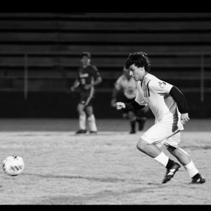Dominic Matarelli