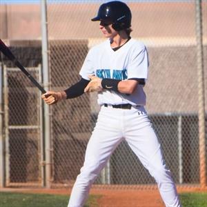 Hogan Hawkins mugshot