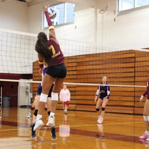 Surrae Anderson mugshot