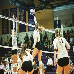 MADISON WILLE
