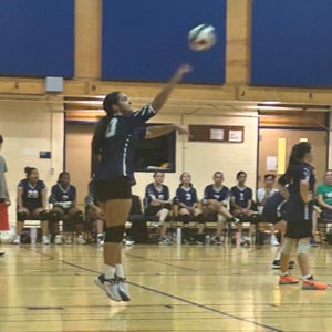 Liliya Verdanidze mugshot