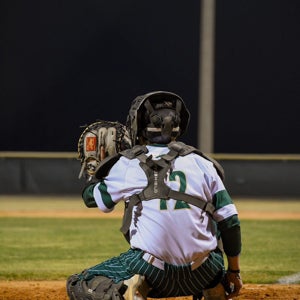 Davis Brinson mugshot