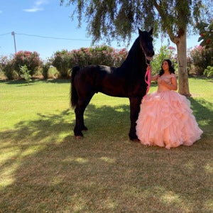 Sophia Ascencio