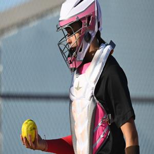 Brooklyn Parks mugshot