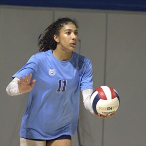 Monika Howard mugshot