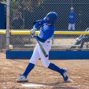 Shun Shirayama mugshot