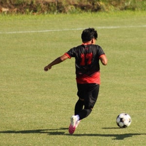M. Martinez