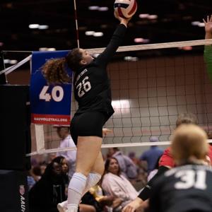 Alaina Johnston mugshot