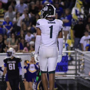 Julien Alokpovi mugshot