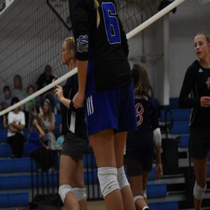 Caylee Alston