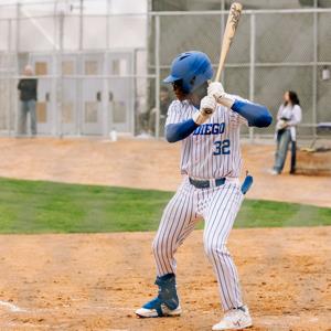 TreDesiderio Simmons mugshot