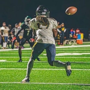 Bratreviauntae Ferrell mugshot