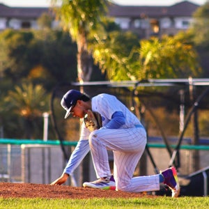 Moyses Salido mugshot